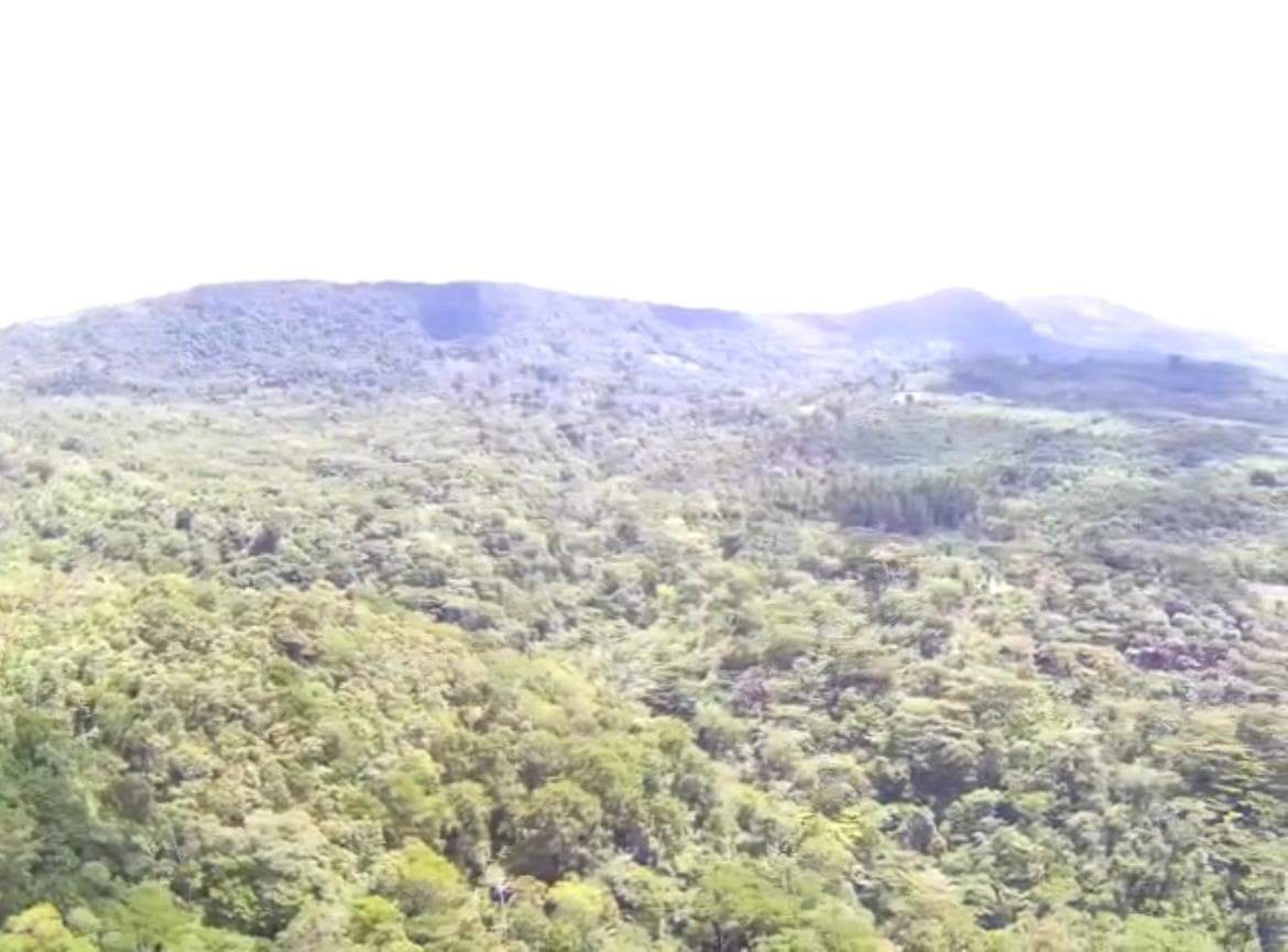 Vendo Terreno De 33 Hectáreas En Villa Rica Oxapampa - 2