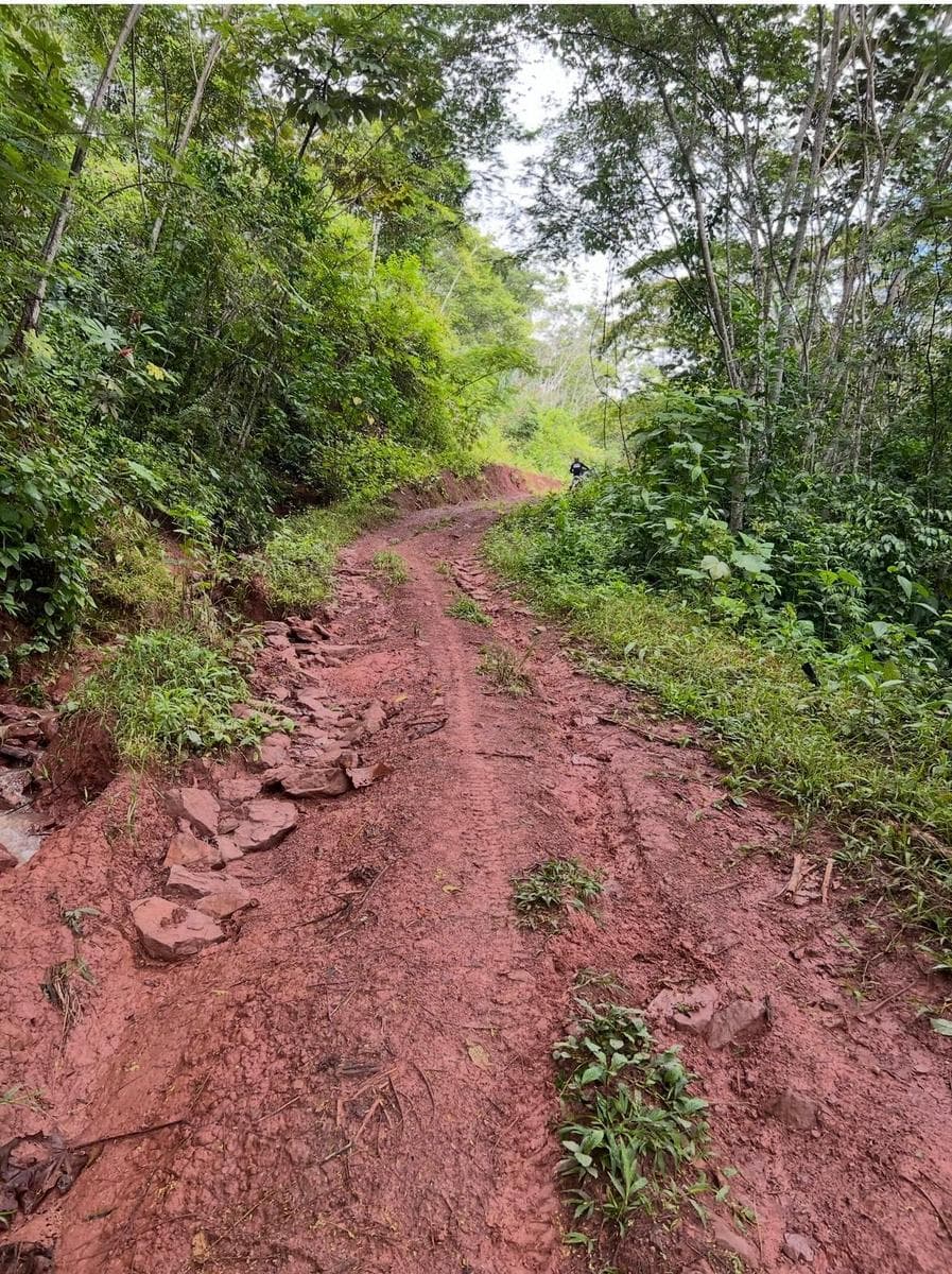 Vendo Terreno De 33 Hectáreas En Villa Rica Oxapampa - 1