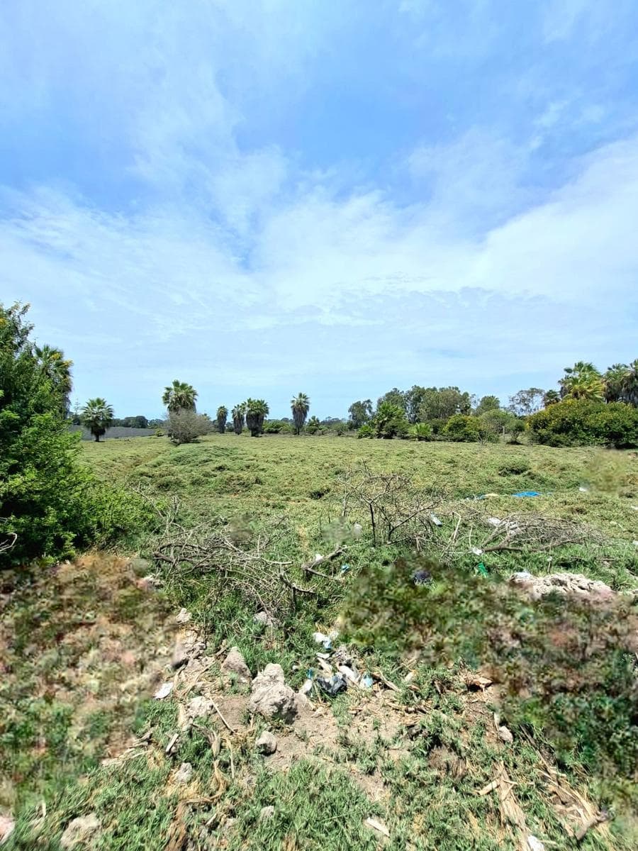 Oportunidad Para Un Interesante Desarrollo Inmobiliario - 1