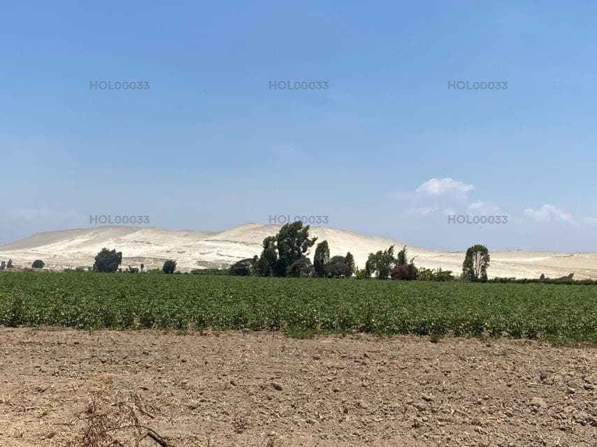 Vendo Linda Casa en Pasaje Condominio Select Homes Mz B, Lt 2, Urb. San Clemente, Pisco - 1