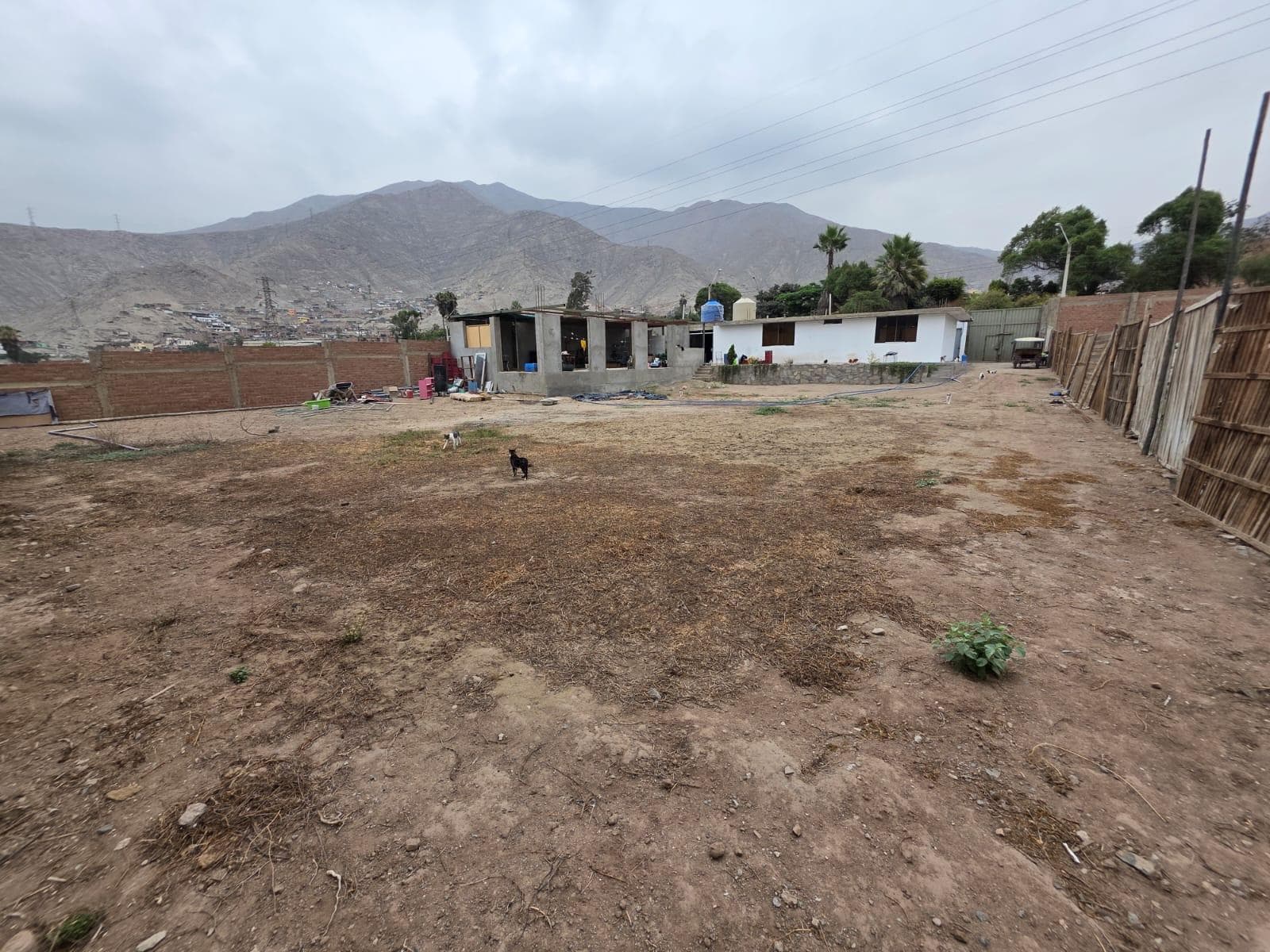 Venta De Terreno En Ñaña- Lurigancho - 1