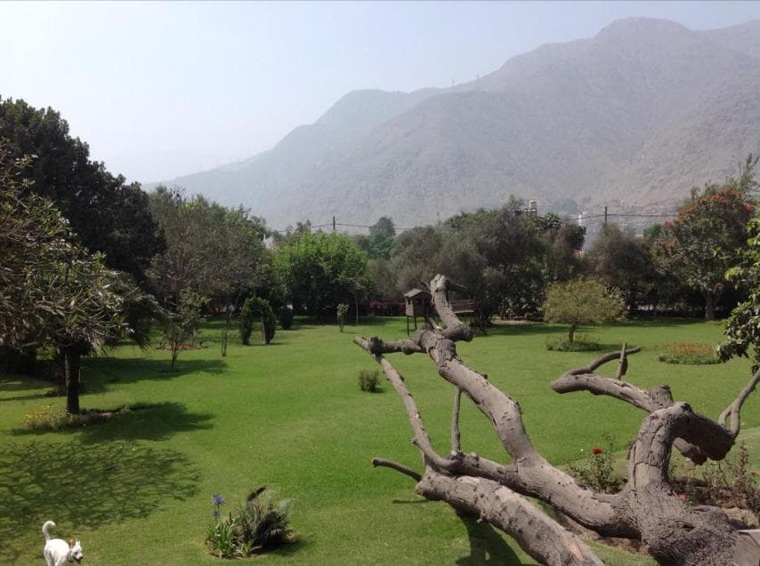 Vendo Hermosa Casa en Calle Los Tacones N 4, Chaclacayo. - 2