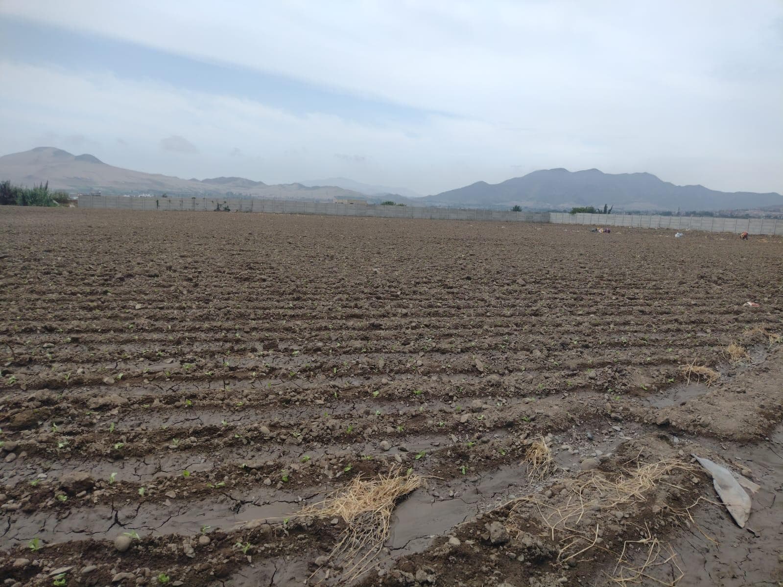 Terreno en Chancay - 2