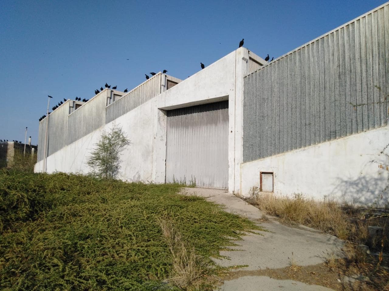 LOCAL INDUSTRIAL DE UN PISO UBICADO EN SUB LOTE 1 , SECTOR LA TINA- SULLANA - 1