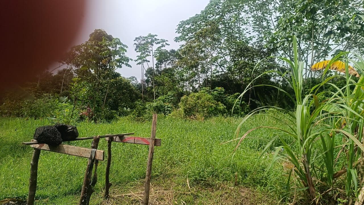 Vendo Terreno Urbano, Cacerio Quistococha, Km 3 Carretera Iquitos Nauta, San Juan Bautista, Iquitos - 1