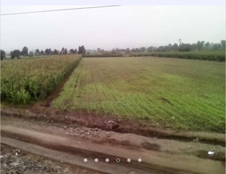 Vendo Terreno en Parcela Mz 1, Lt 1, Mala, Mala - 1