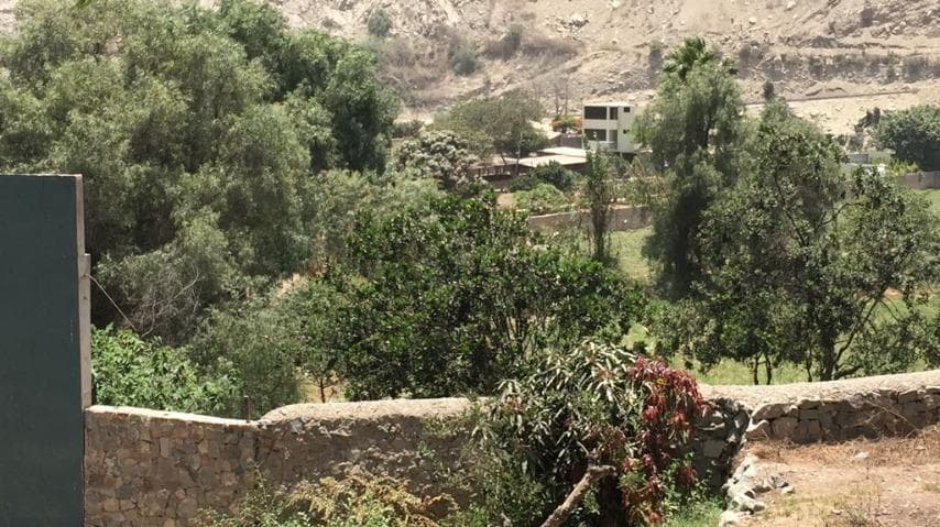 Vendo Terreno Flat en Fundo Yangas N XX, Km 56, Canta. - 1