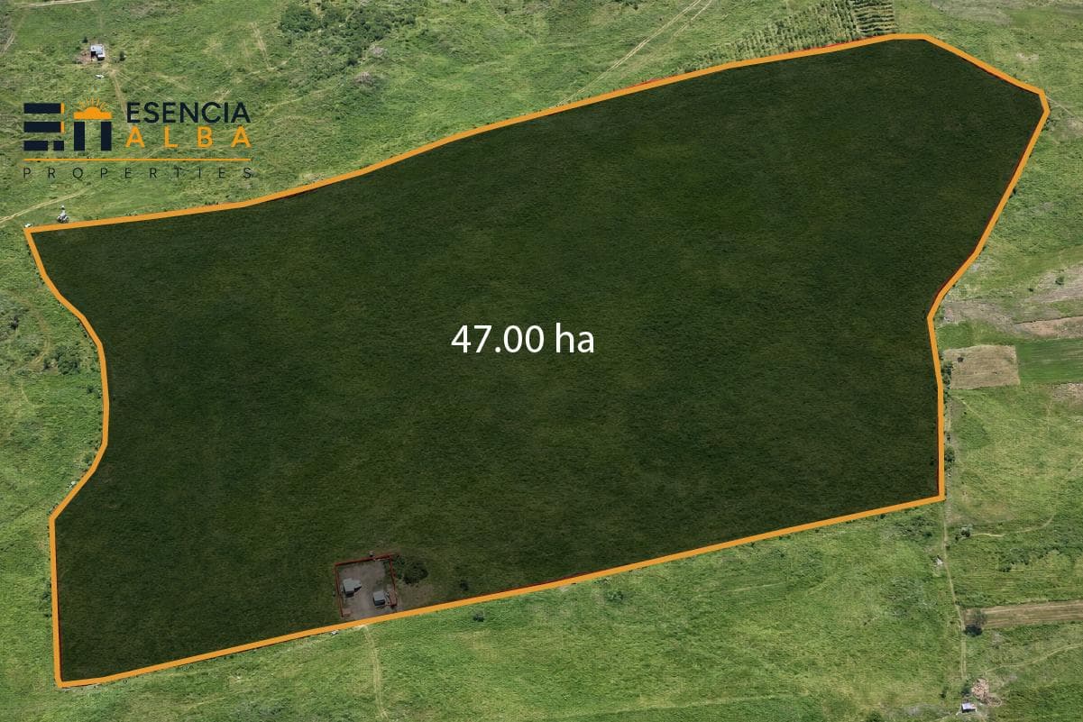 Terrenos en Venta en Juliaca – Caracoto - 1