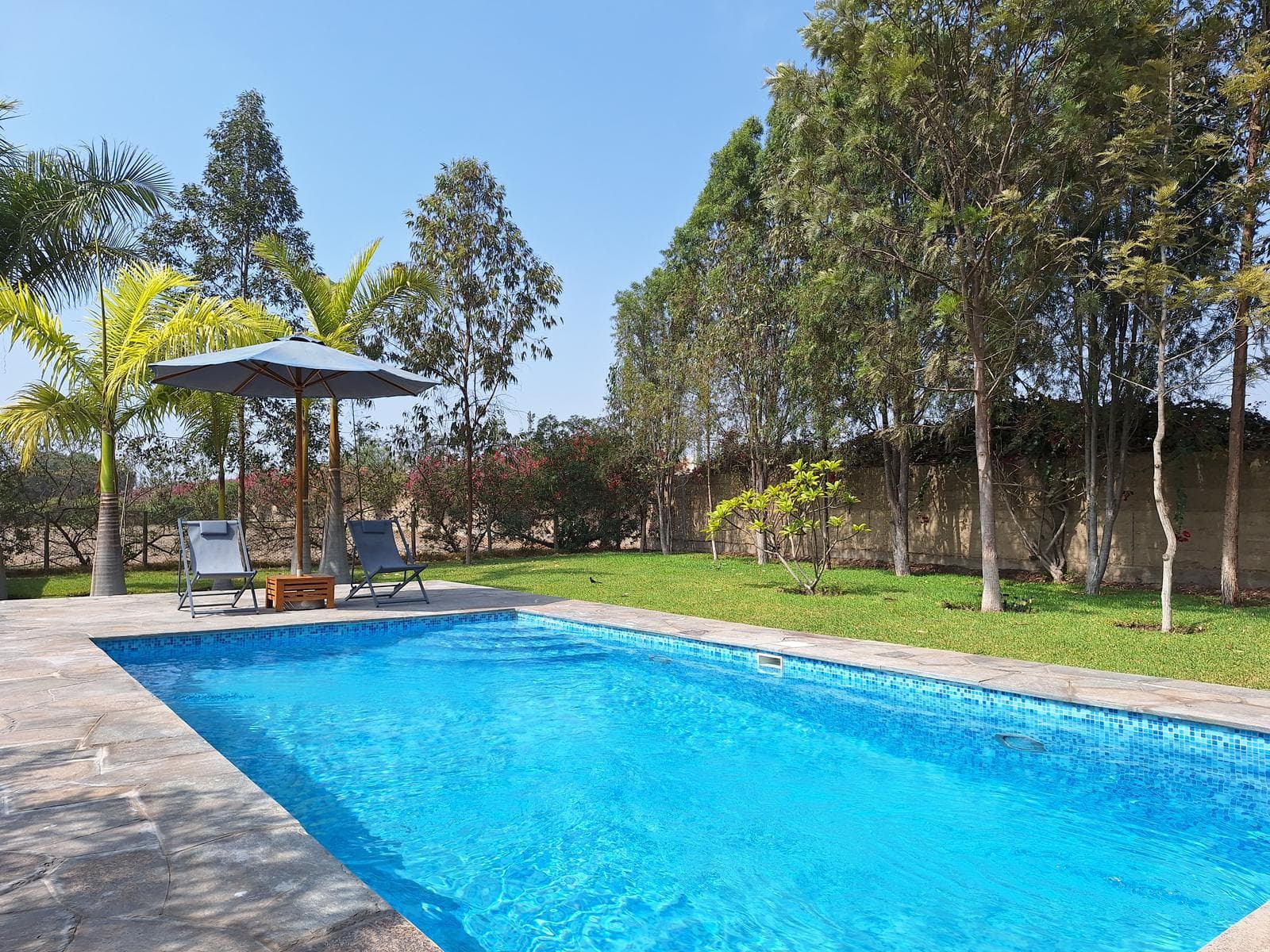 Venta de casa de campo: El Carmen, Chincha- 4,600 m2 - 1