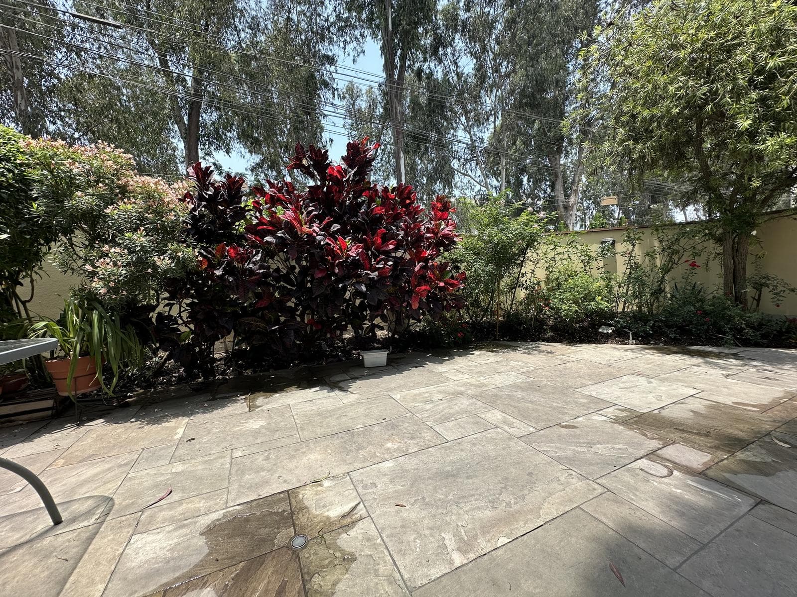 Departamento flat en primer piso elevado - 1