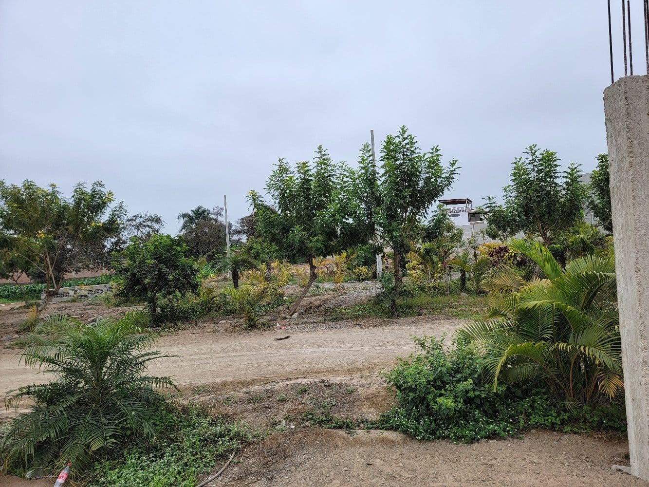 VENTA DE TERRENO EN ASIA- CAÑETE - 1