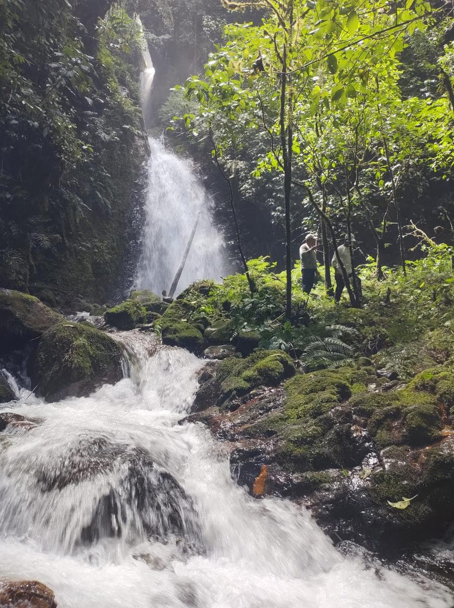 TERRENO EN VENTA EN QUILLABAMBA - SECTOR CHAUPIMAYO B - VALLE VILCANOTA - 1