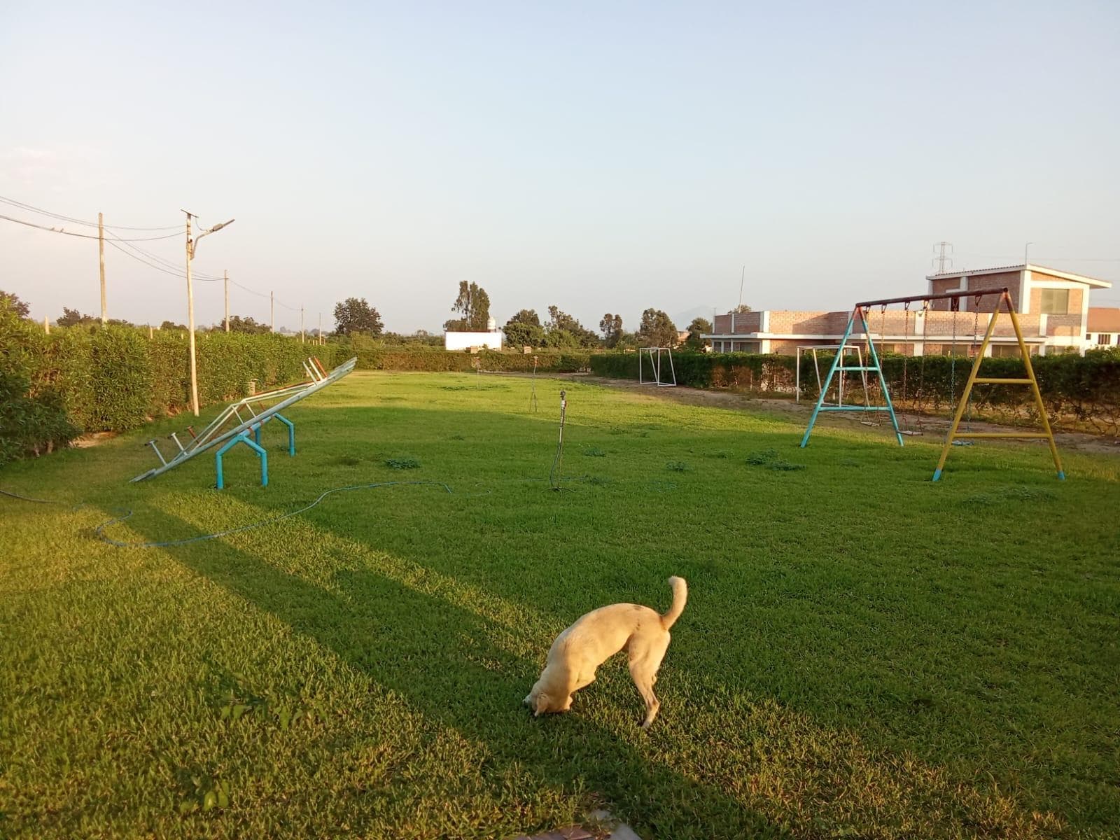 Terreno en Huaral - 1