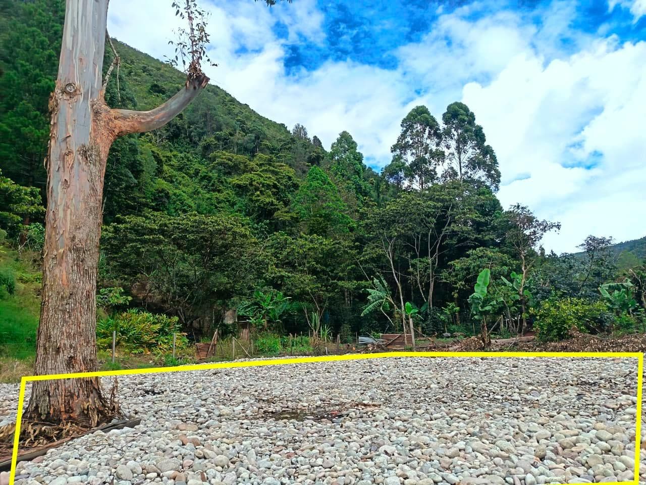 Se Vende Terreno 620 m2 en Oxapampa Cerca a Carretera Pozuzo - 1