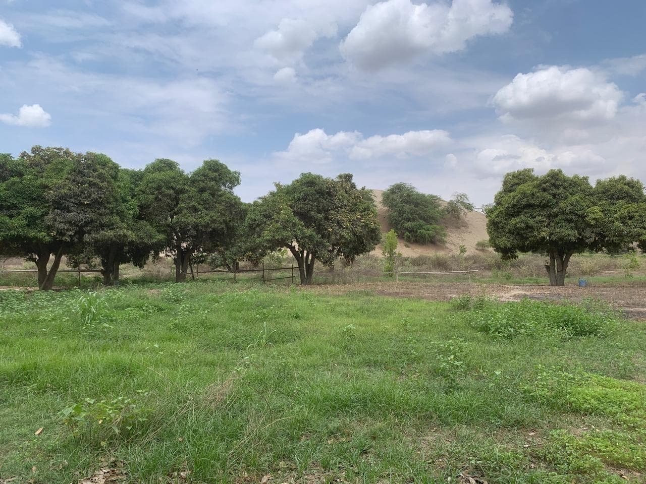 Venta Oportunidad de inversión: TERRENO 32,279 m² en Los Aquijes - Ica - 1