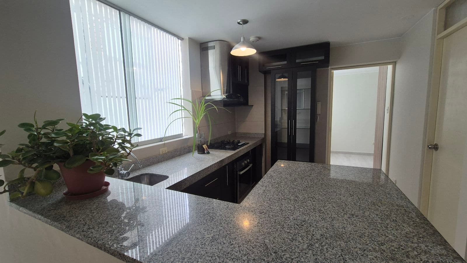 Departamento - Lince - 1