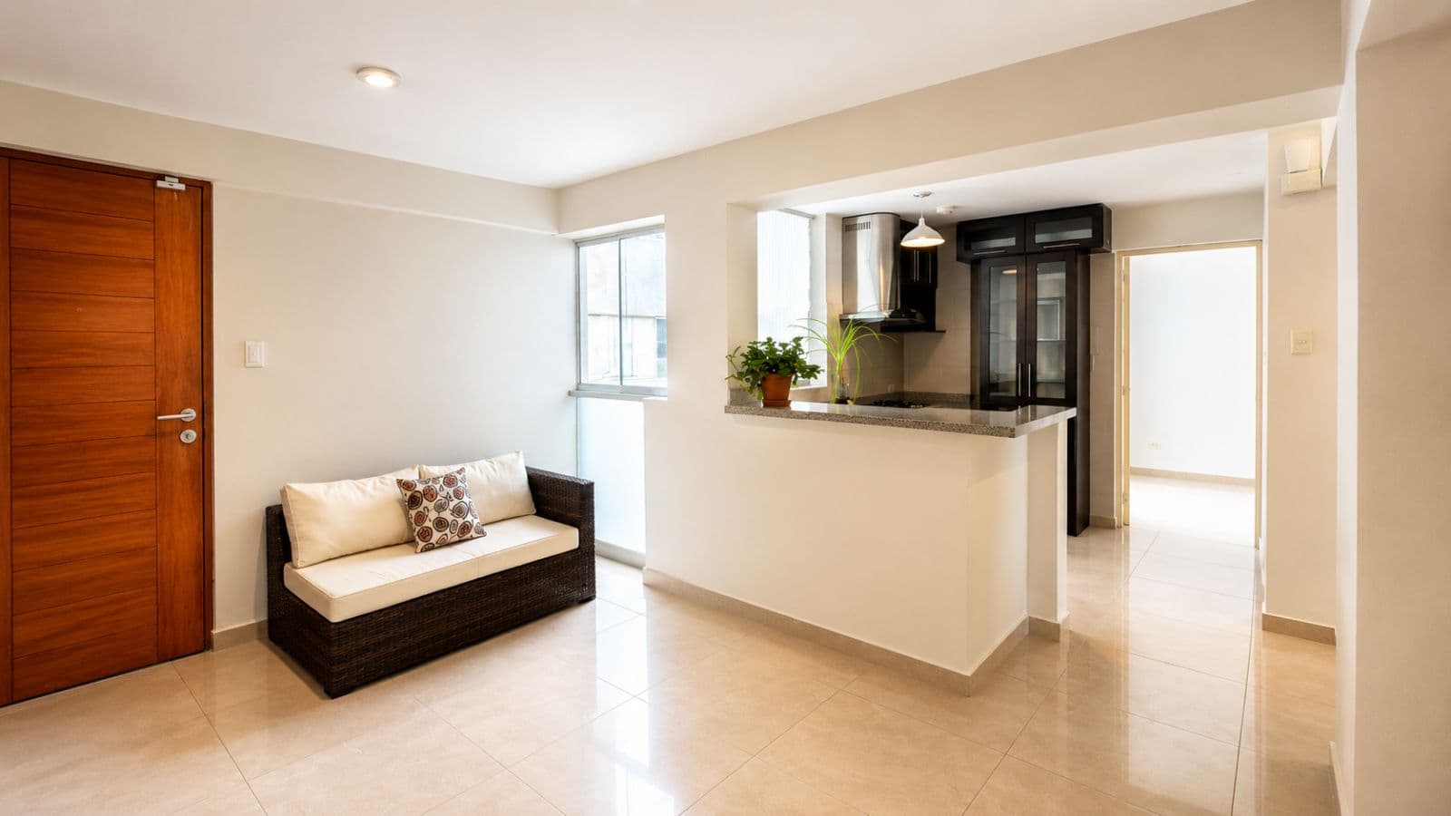 Departamento - Lince - 1