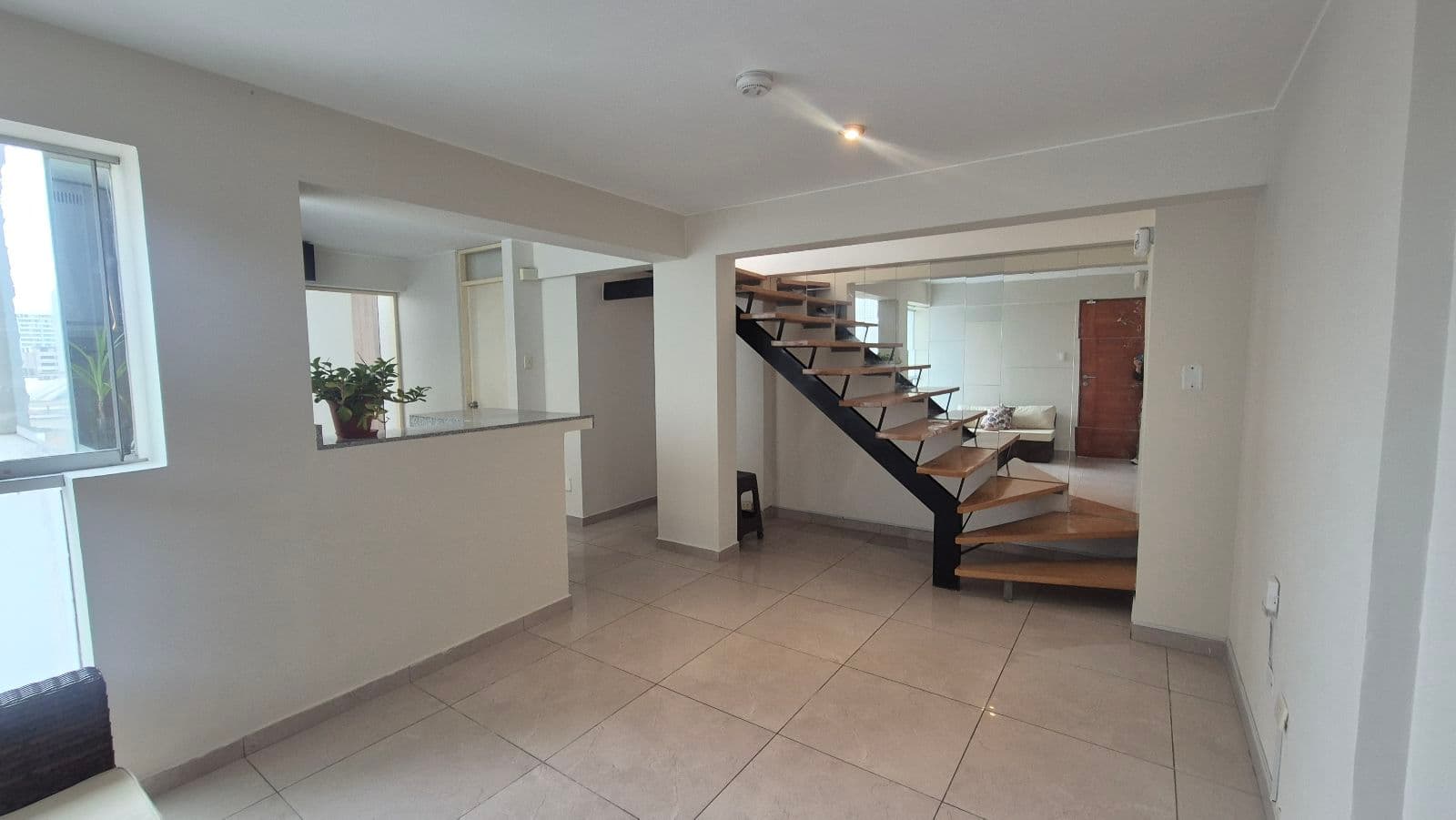 Departamento - Lince - 1