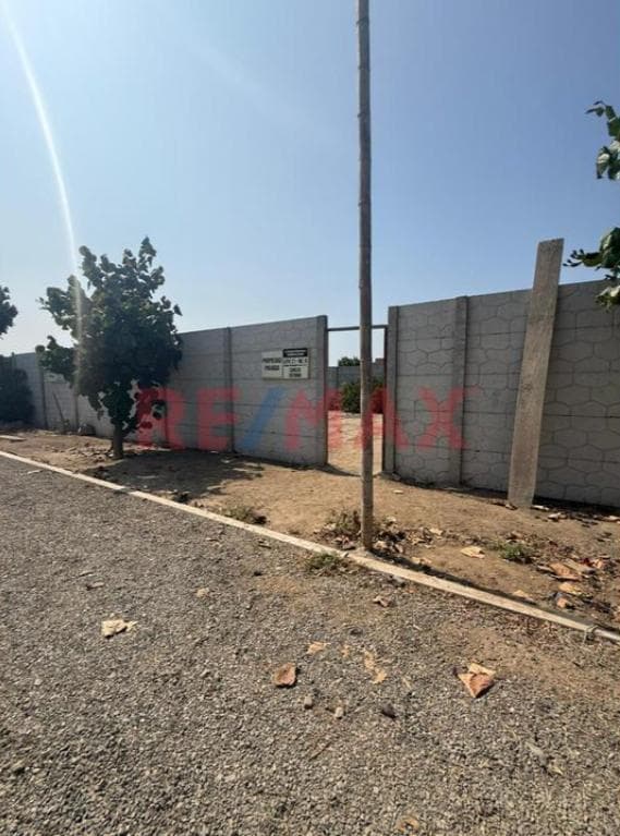 Lotes En Venta – Asoc. Arboleda Avanza - 1