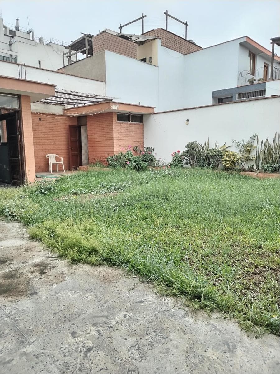 Local en San Borja - 1