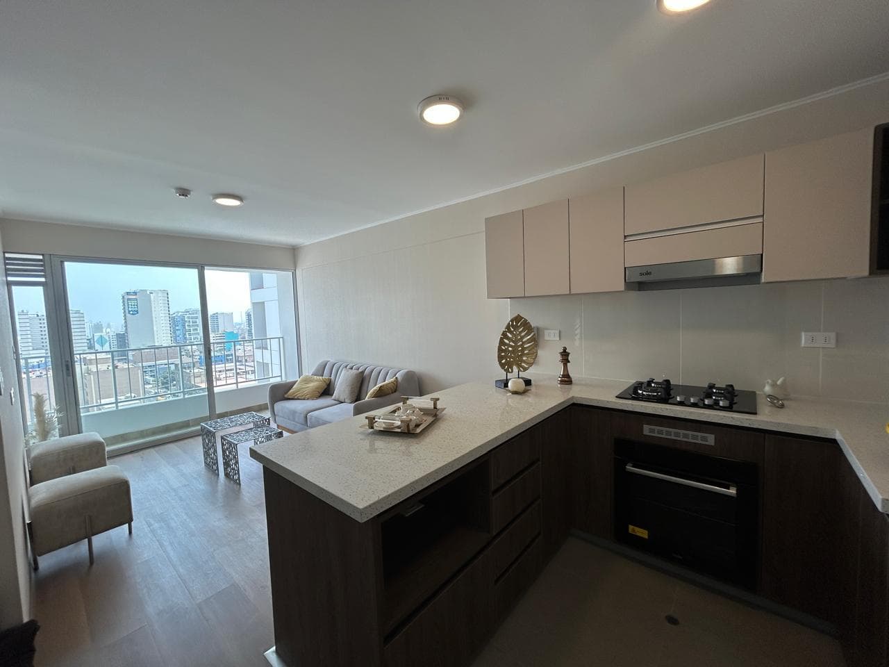Departamento en Lima - 1