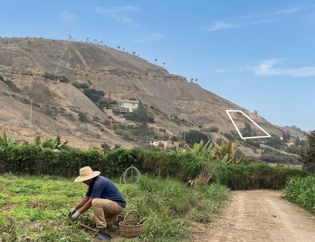 Venta de Terreno Fundo Tomina Pachacamac - 1