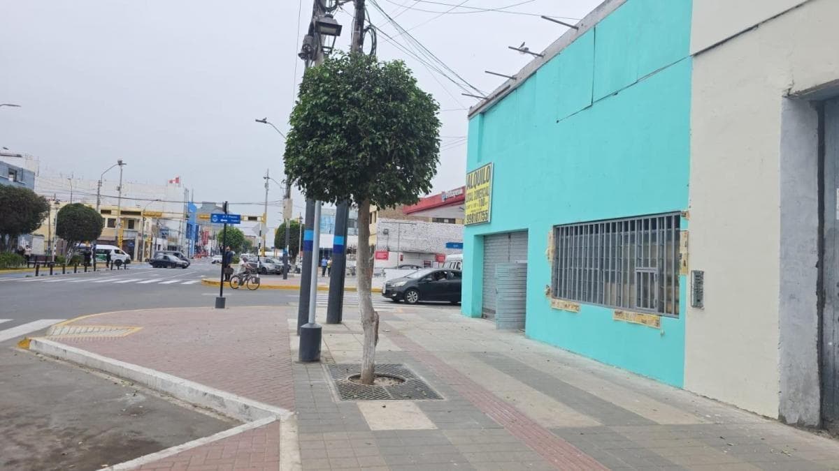 Local Comercial con Excelente Visibilidad y Acceso - 1