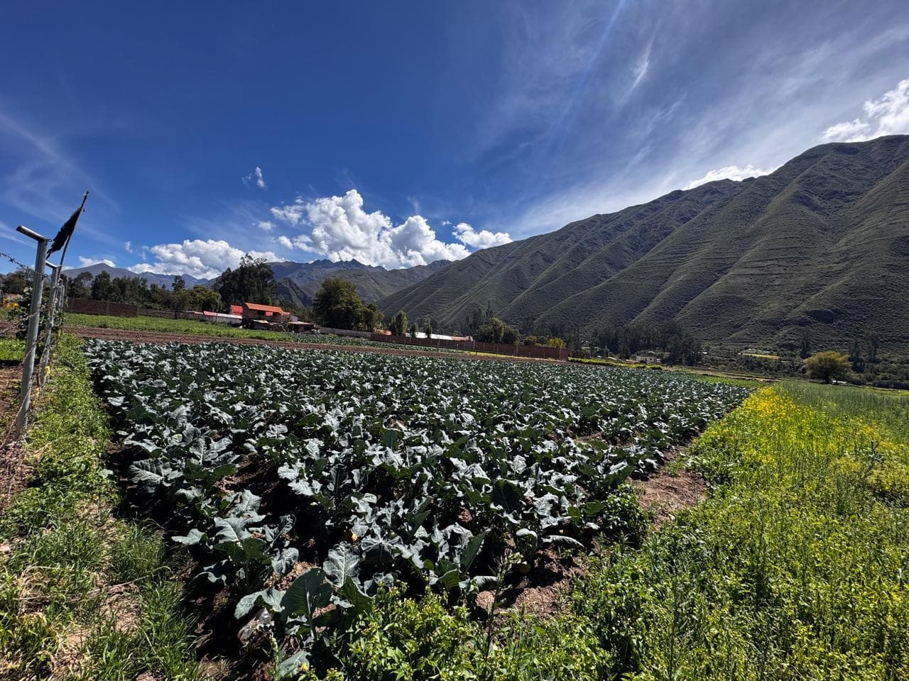 TERRENO EN VENTA EN YUCAY CCOHUEHUASI - 1