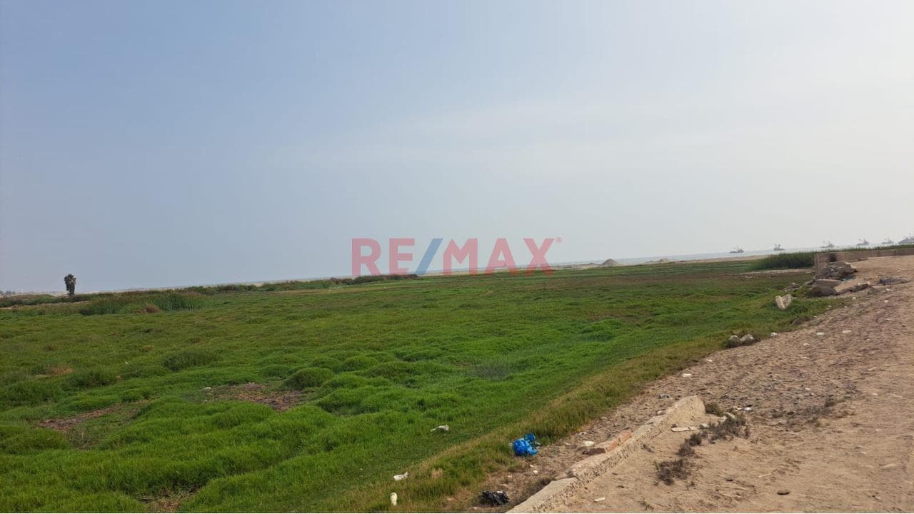 Terreno En Venta – Fundo Canchamana, Tambo De Mora - 1