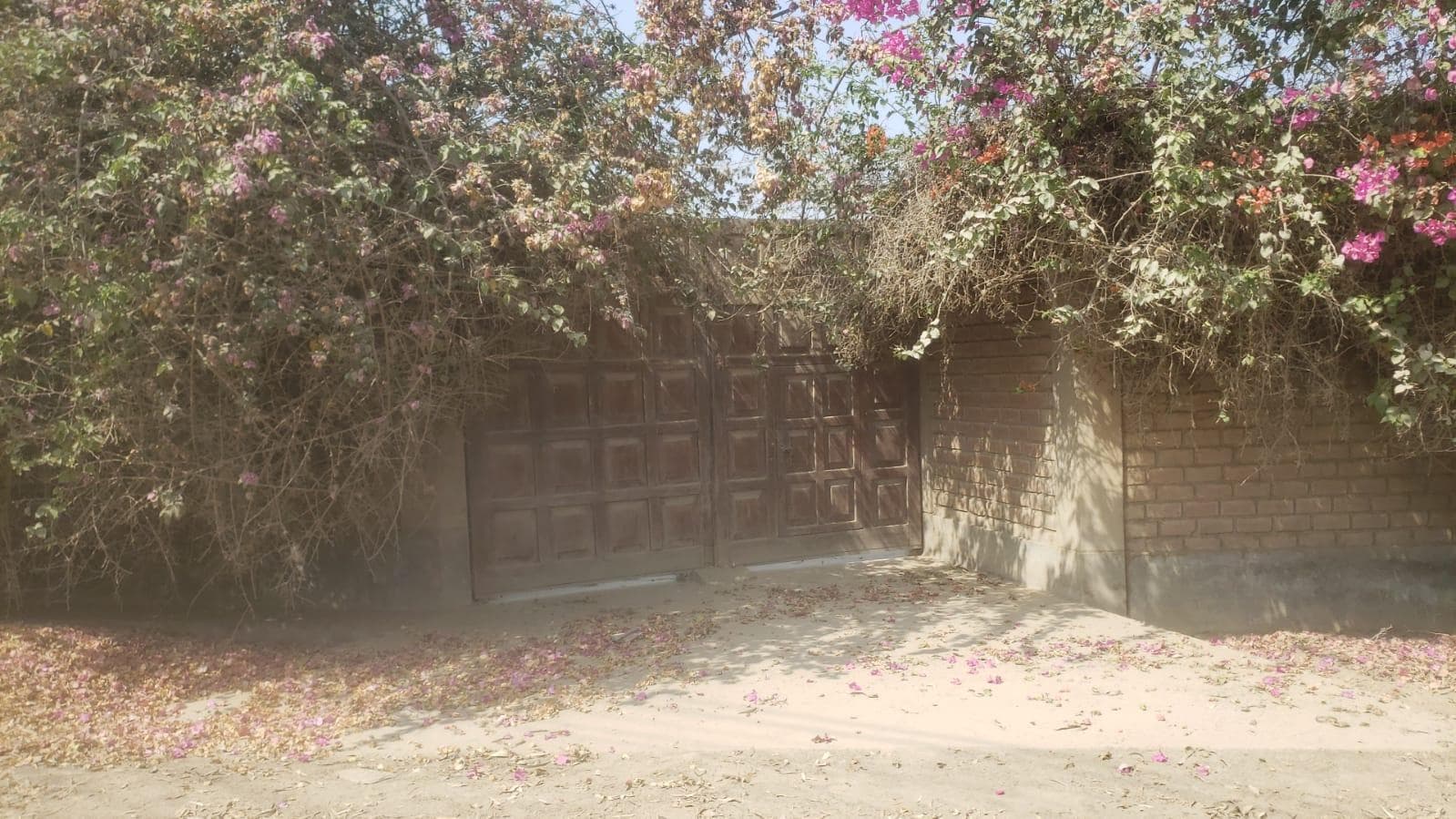 Terreno En Venta Sector De Jatosisa Pachacamac - 1