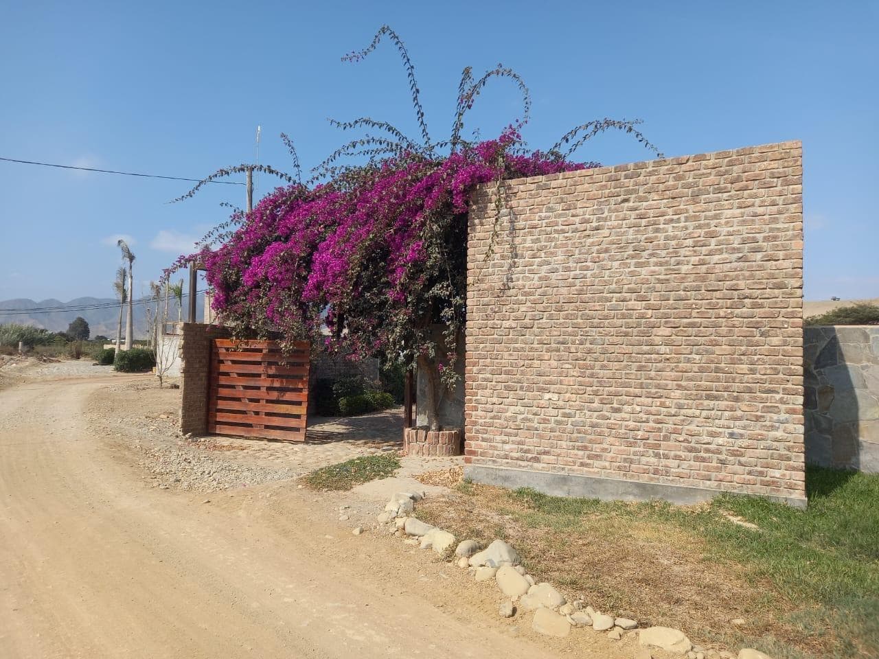 Terreno 600 m2 en condominio campestre - Asia - Cañete - 1