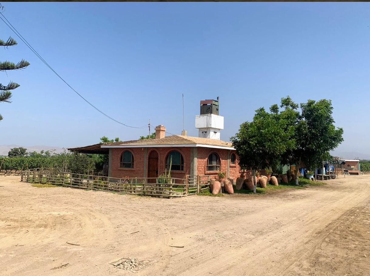 VENDO TERRENO AGRICOLA EN QUILMANA - CAÑETE - 1