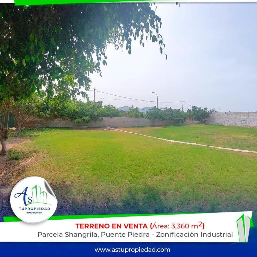 VENTA TERRENO SHANGRILLA PUENTE PIEDRA - 1