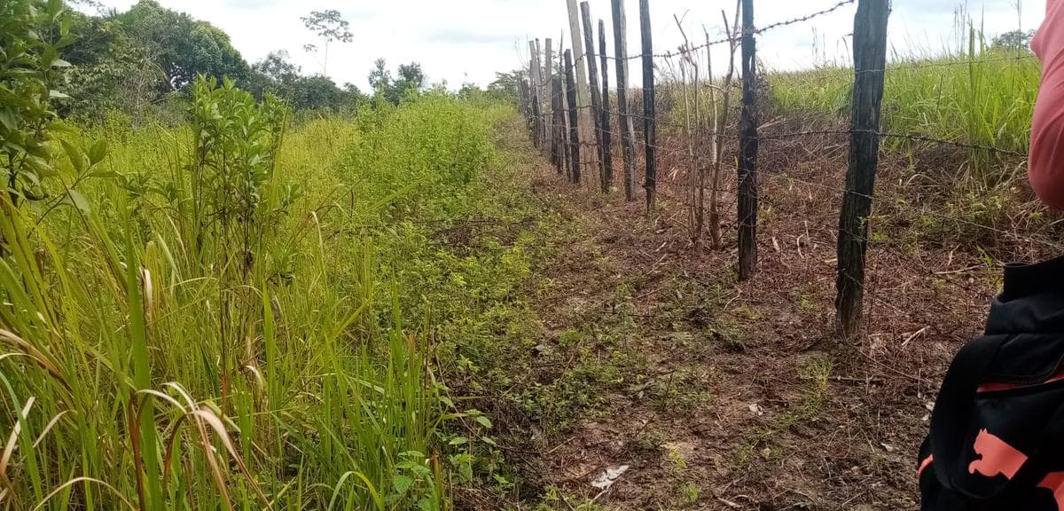 Terreno - Calleria - 1