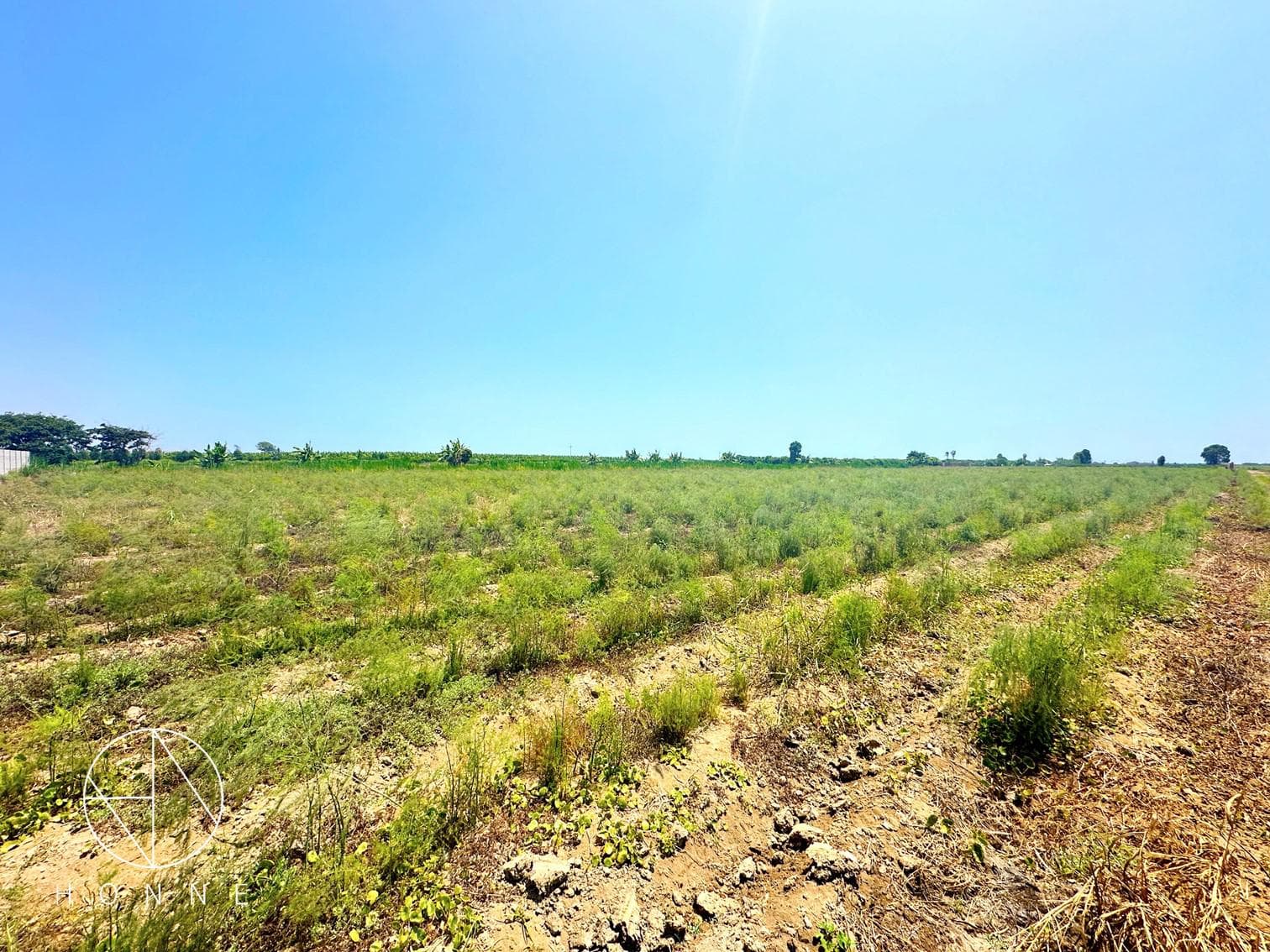 Terreno en SAN VICENTE DE CAÑETE - 2
