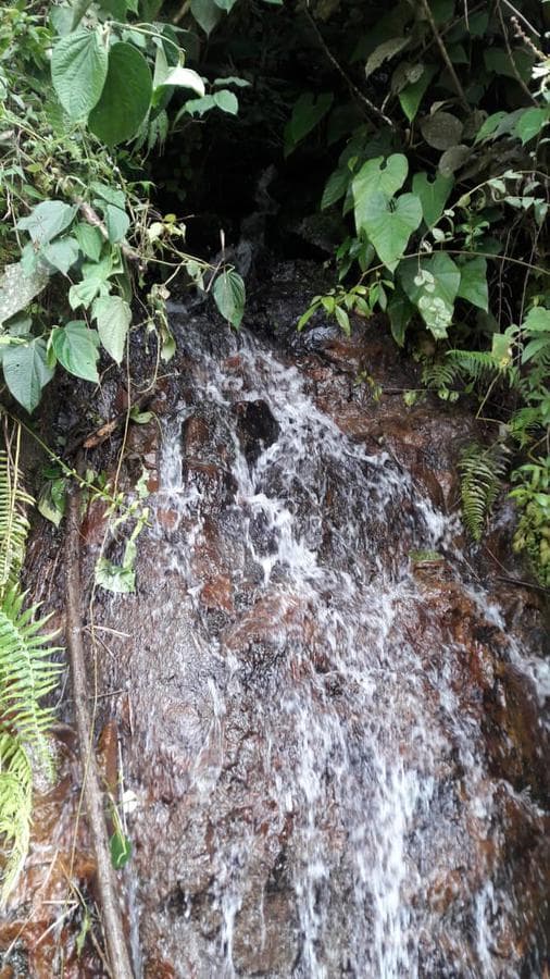 Terreno - San Jose Del Alto - 2